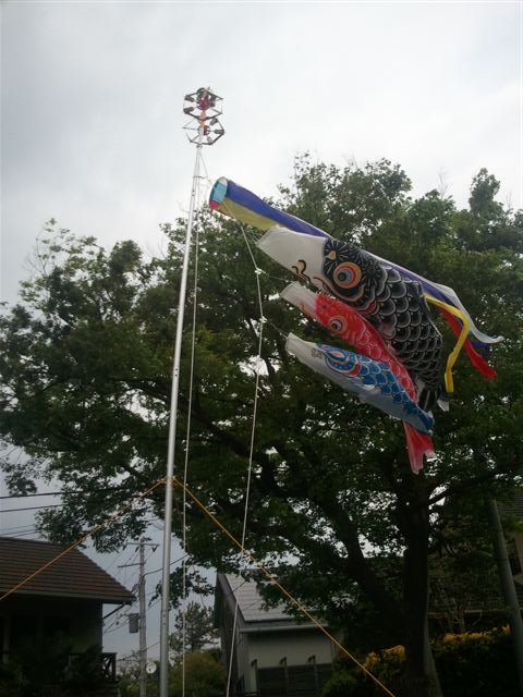 20130502_01.jpg