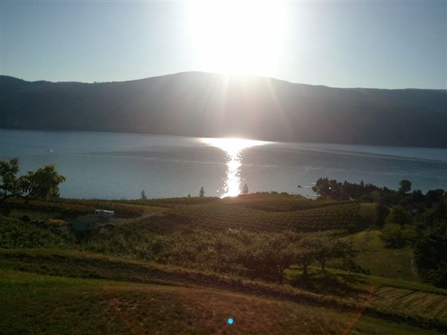 20130628_04.jpg