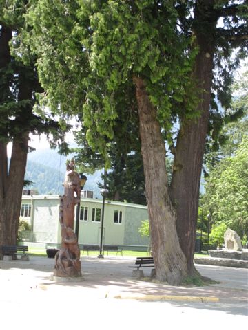 20130628_08.jpg