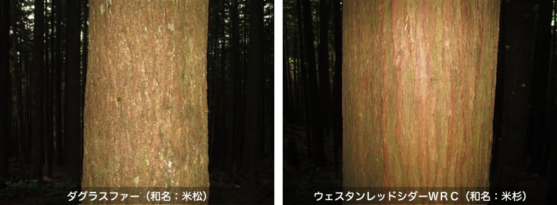 20130703_03.jpg