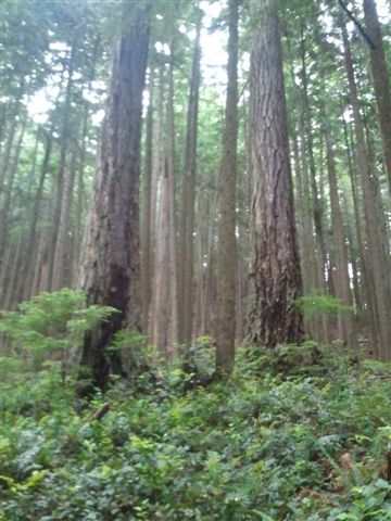 20130703_04.jpg