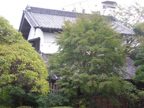 庭からの写真