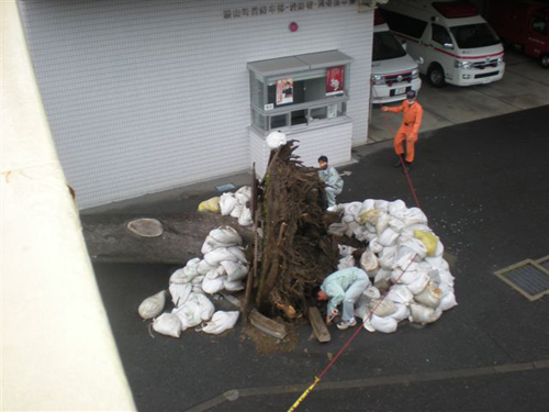 春の嵐