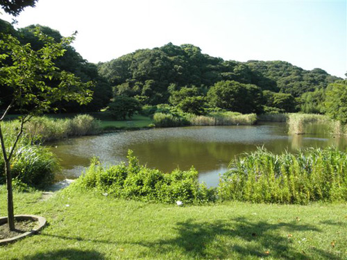 初めて池子基地へ進入
