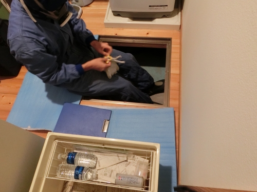 iemori_20141126 (1).jpg