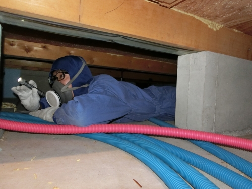 iemori_20141126 (3).jpg